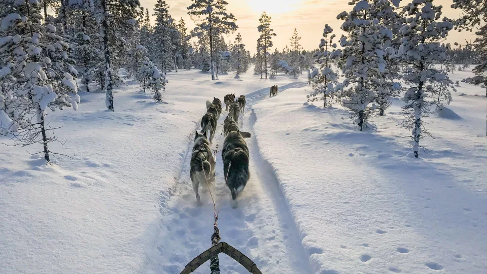 Lapponia Finlandese